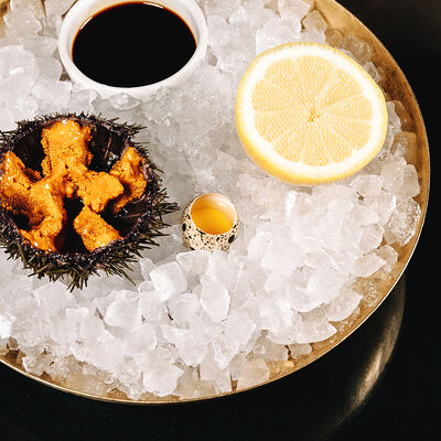 Морские ежи в Гвидон по цене 600 ₽