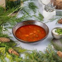 Солянка мясная в Ботаника