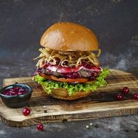 Дикий койот в Sheriff burger salsk