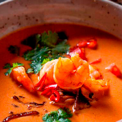 Том ям в Goodman по цене 450