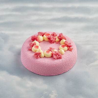 Торт Вишня-фисташка в Буше по цене 2225 ₽