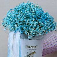 Бабл Гам в Orange