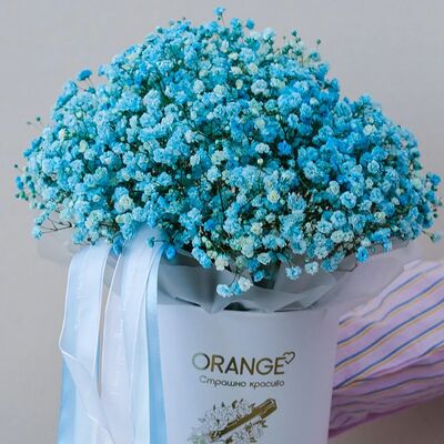 Бабл Гам в Orange по цене 7548 ₽