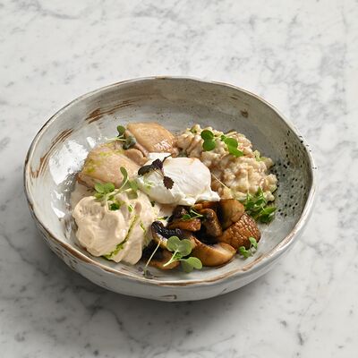 Трюфельная перловка с цесаркой и грибами в 12 kitchen & wine по цене 600 ₽