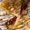 Блинчики дубайский шоколадв Vseklassno Coffee Bar по цене 820