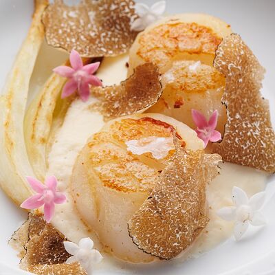 Морской гребешок с фенхелем и чёрным трюфелем в Butler по цене 3800 ₽