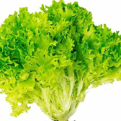 Салат листовой экзакт в На кухне по цене 197 ₽