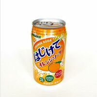 Сангория Апельсин в Nagoya