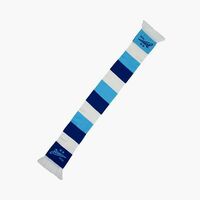 Шарф трикотажный Полоски в Атрибутика ФК Зенит