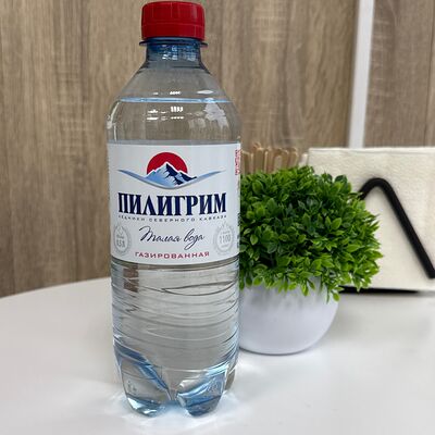 Вода Пилигрим газированнаяв Шаурма House по цене 80 ₽