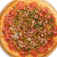 Торонтов Мега 45