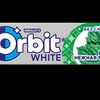 Orbit Нежная мята в ЭкспрессВиль по цене 80