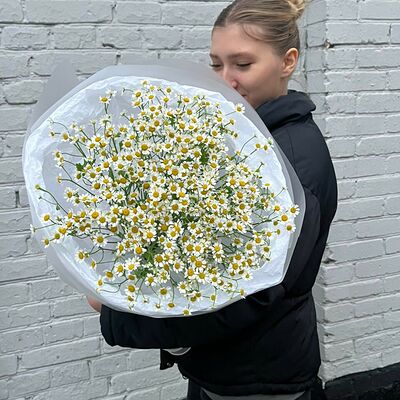 Моно букет из ромашек в Не плачь, пей кофе по цене 5625 ₽