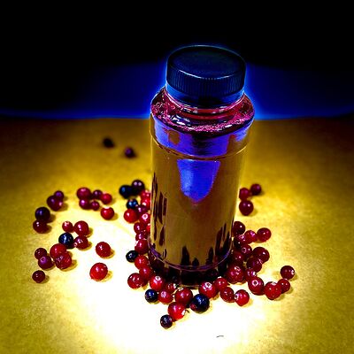 Морс Чито Гврито в Чито-гврито по цене 300 ₽