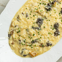 Ризотто с белыми грибами и сморчками в Nomad