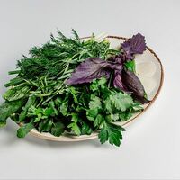 Свежая зелень в Ривьера