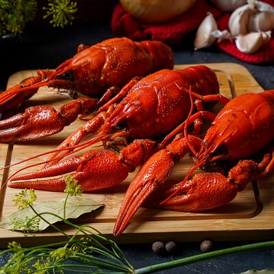 Раки среднекрупные в Раки Мск 24 по цене 11450 ₽