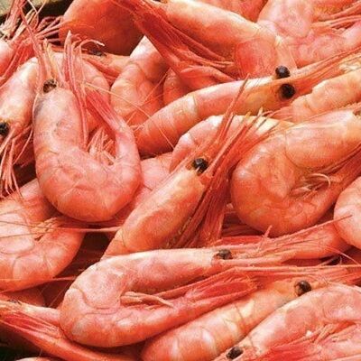Креветки Магаданские в Red Раки по цене 3450 ₽