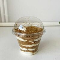 Вкусный нежный медовик в стаканчике в Амрита
