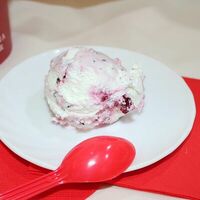 Мороженое Хмельная вишня в Мороженое Gelateria Plombir