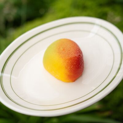 Янд. Десерт манго в NoSugar bakery по цене 1027 ₽