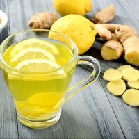 Имбирно-лимонный чай Standart в CoffeeFact