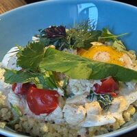 Рубленая каша, цыпленок в сливках, томаты и шпинат в ROS