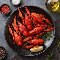 Логотип LOMONOSOV RAKOVARNYA