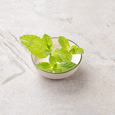 Мята в Шоколадница по цене 60 ₽