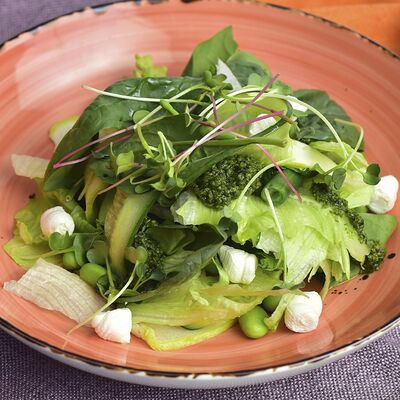 Зеленый салат с соусом песто в Самое популярное кафе по цене 600