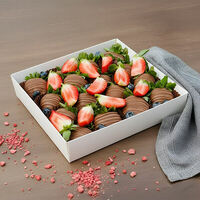 Логотип Luna-Клубника в шоколаде