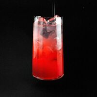 Безалкогольный лимонад малина-кокос в Loft