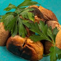 Шампиньоны гриль в Омар Хайям