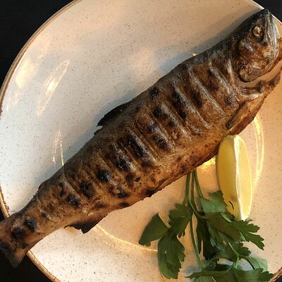 Форель на мангале в Мацони по цене 420