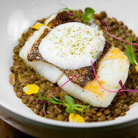 Палтус и чечевичотто в Christian