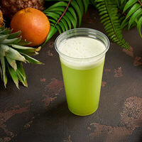 Логотип PLANTATION