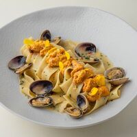 Паппарделле с вонголе и морским ежомв Wine and Crab