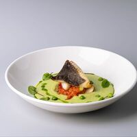 Палтус с кремом из зеленого горошка в SCAT