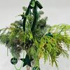 Зимний хвойный букет с зелёными бархатными игрушками в Дарите красиво по цене 7390