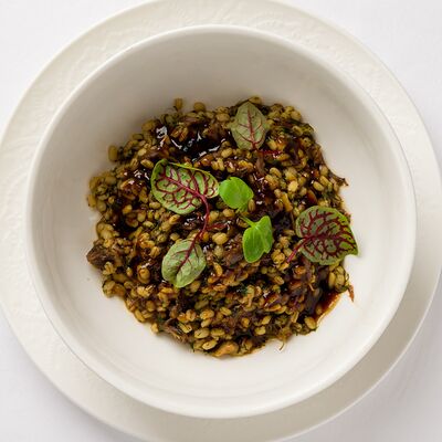 Перловая каша с бычьими хвостами в Dr. Живаго по цене 890 ₽