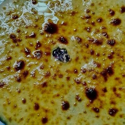 Цахараджын со свекольными листьями и осетинским сыром в Осетинские пироги по цене 1850 ₽