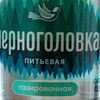 Вода Черноголовка газированная в Очаг шашлычный рай по цене 100