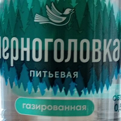 Вода Черноголовка газированная в Очаг шашлычный рай по цене 100 ₽