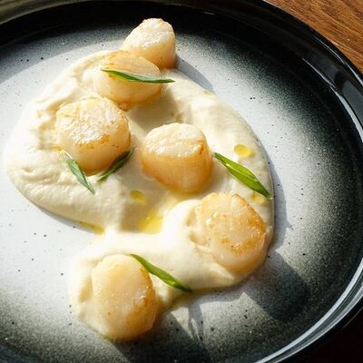 Гребешок с кремом из цветной капусты в Двор Помидор по цене 890