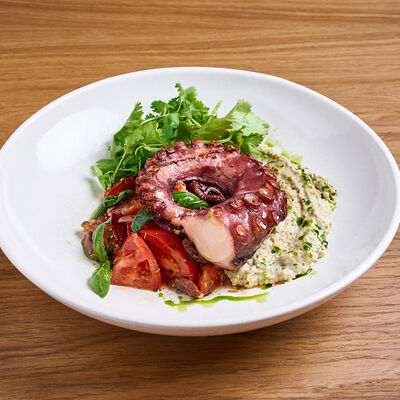 Марокканский осьминог с пюре из баклажанов в Клёво по цене 2700 ₽