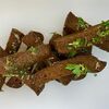 Гренки чесночные в Две палочки Астрахань по цене 290