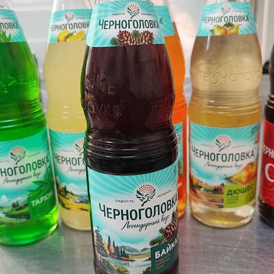 Черноголовка Байкал в В нашем дворе по цене 160 ₽