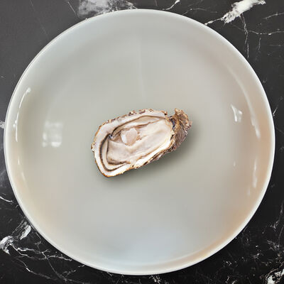 Устрица Фин де Клер 100-150 в Вкусноморье по цене 530 ₽