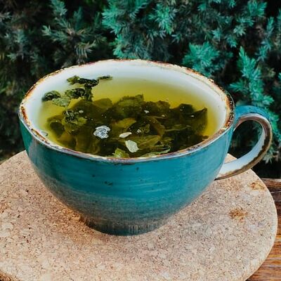 Зеленый БОЛЬШОЙ в Кофейня Mozart по цене 140 ₽