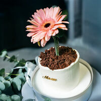 Логотип Filippe